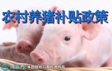农村养猪补贴、2021年养猪补贴新政...