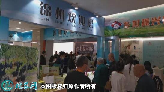第三届中国•盘锦乡村振兴产业博览会隆重举行
