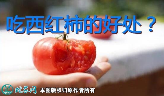 吃西红柿的好处图1