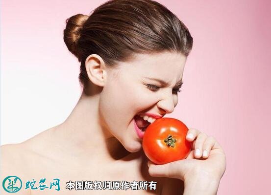 吃西红柿的好处图2