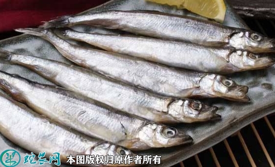 2022年1月26日多春鱼价格行情、...