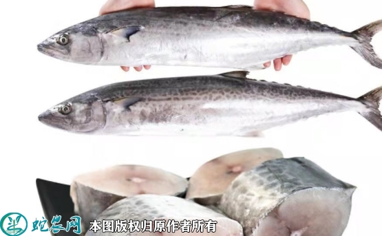 2022年1月28日燕鲅鱼价格行情、...
