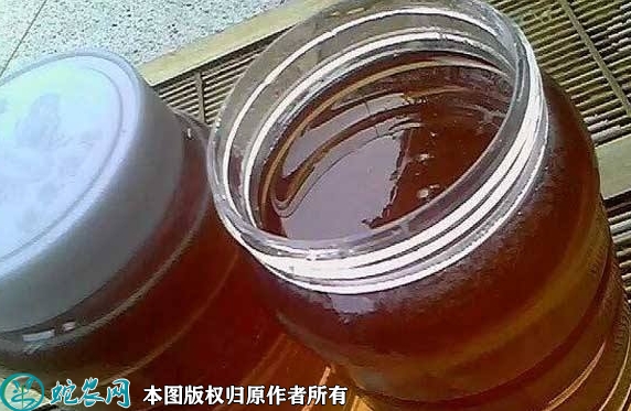 2022年1月31日枣花蜜价格行情、...