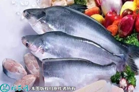 2022年1月23日巴沙鱼价格行情、...