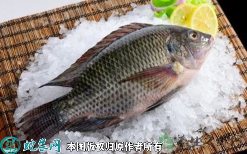 2022年1月25日罗非鱼价格行情、...