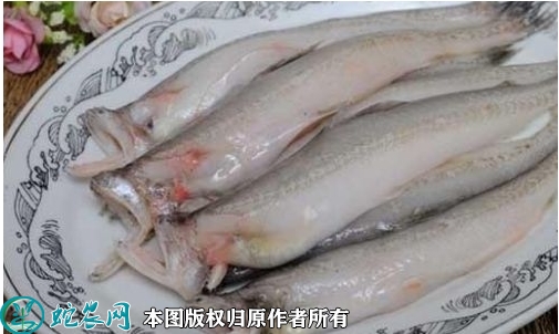 2022年1月29日龙头鱼价格行情、...