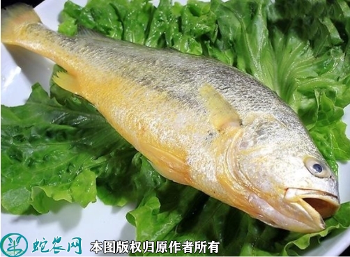 2022年1月28日大黄花鱼价格行情...