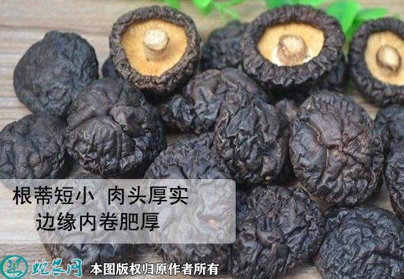 2022年2月16日黑面菇价格行情、...