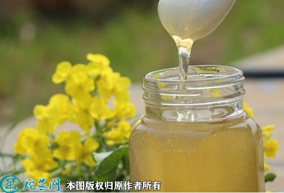 2022年2月1日油菜蜜价格行情、今...