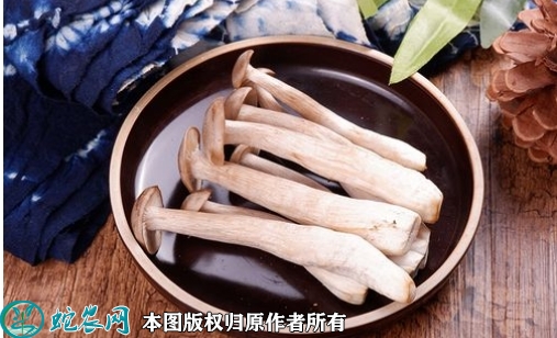 2022年2月15日鹿茸菇价格行情、...