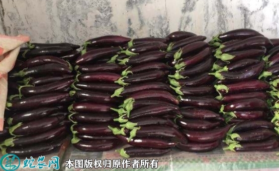2022年2月3日765长茄价格行情...
