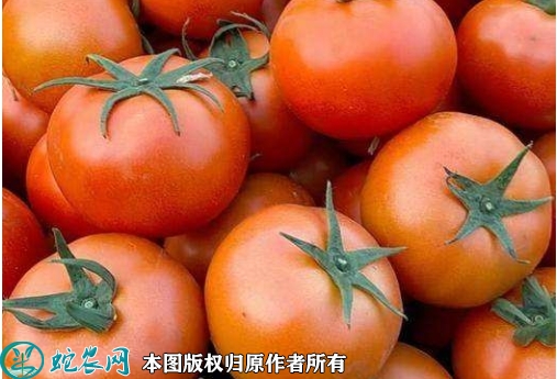 2022年2月5日石头番茄价格行情、...