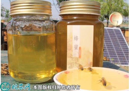 2022年2月1日百花蜜价格行情、今...