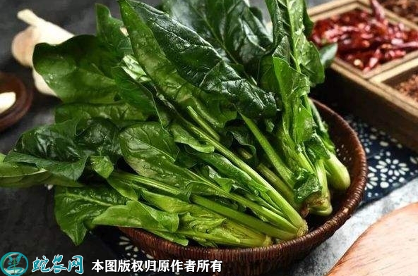 2022年2月6日菠菜价格行情、今日...