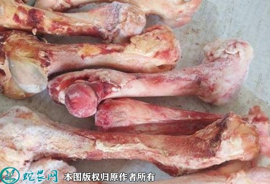 牛棒骨价格多少钱一斤？2022年3月...