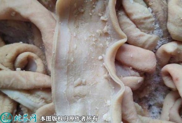 牛小肠价格多少钱一斤？2022年3月...