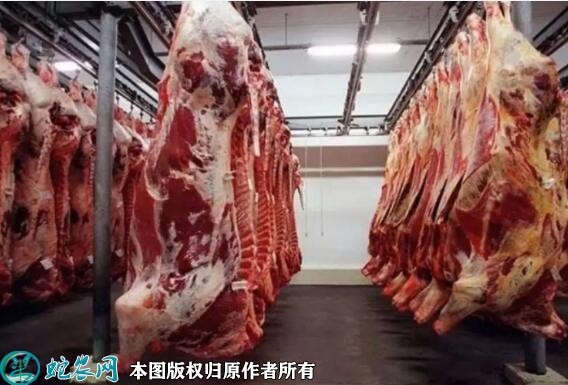 四分体牛肉价格多少钱一斤？2022年...