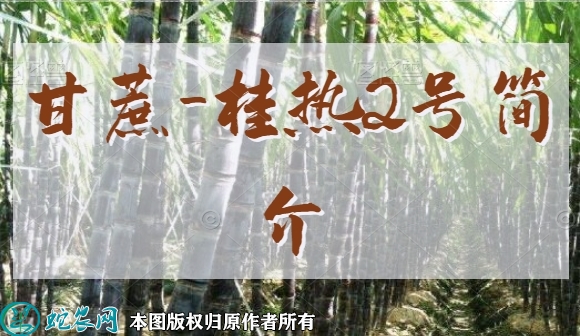 甘蔗新品种：桂热2号简介