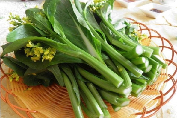菜苔价格多少钱一斤？2022年4月今...