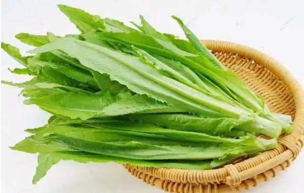 油麦菜价格多少钱一斤？2022年4月...