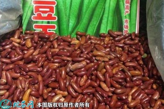 2022年6月5日架豆王种子价格多少...