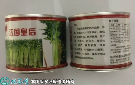 2022年6月6日皇后芹菜种子价格多...