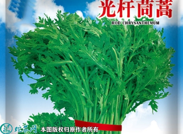 2022年6月6日光杆茼蒿种子价格多...