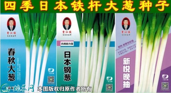 2022年6月7日日本大葱种子价格多...