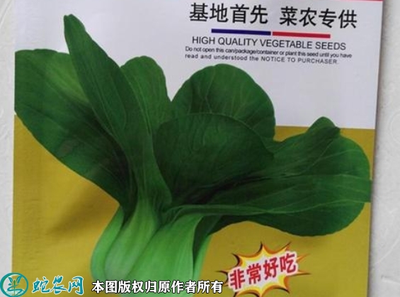 2022年6月7日青梗菜种子价格多少...