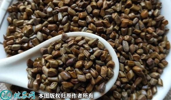 2022年6月14日决明种子价格多少...