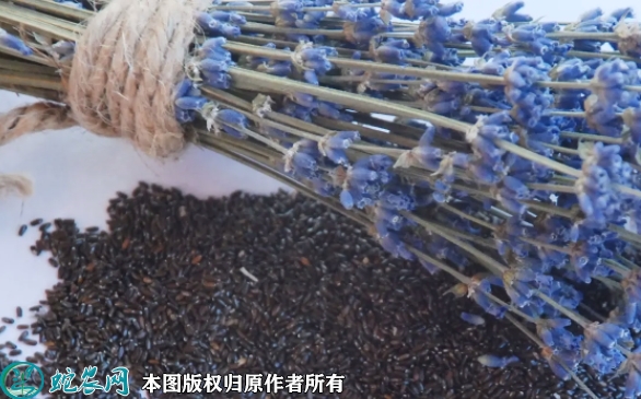 2022年7月2日薰衣草种子价格多少...