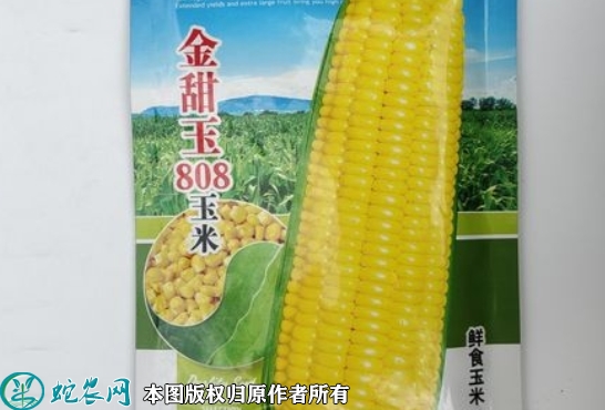 2022年7月甜玉米种子价格多少钱一...