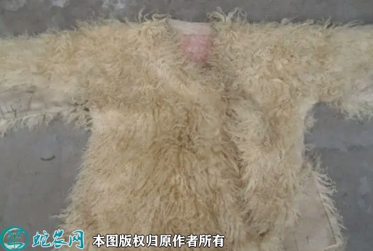 羊皮价格多少钱一斤？2022年9月今...
