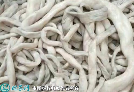羊肠价格多少钱一斤？2022年9月今...