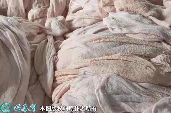 羊净肚价格多少钱一斤？2022年9月...