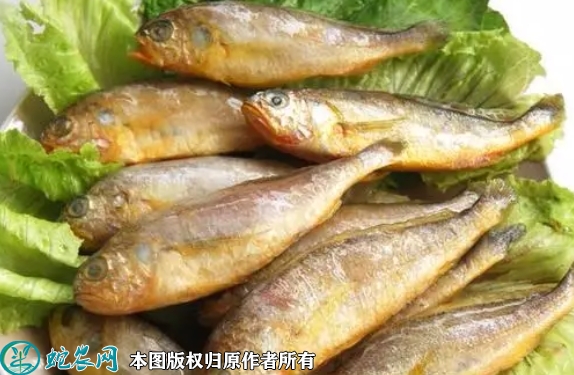 小黄花鱼价格多少钱一斤？2022年1...