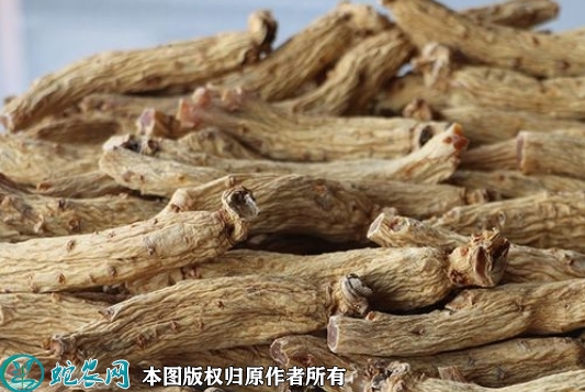 大力参价格多少钱一斤？2022年10...