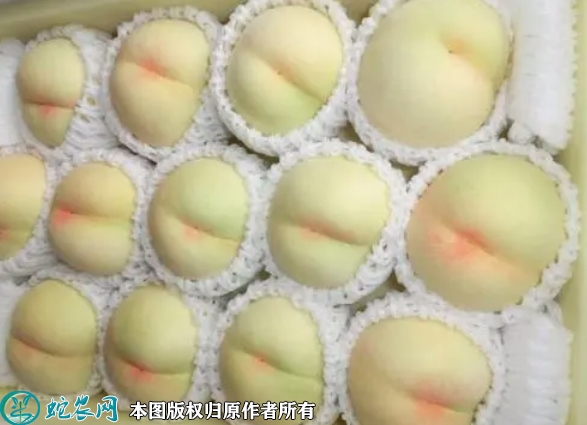 白桃价格多少钱一斤？2022年11月...