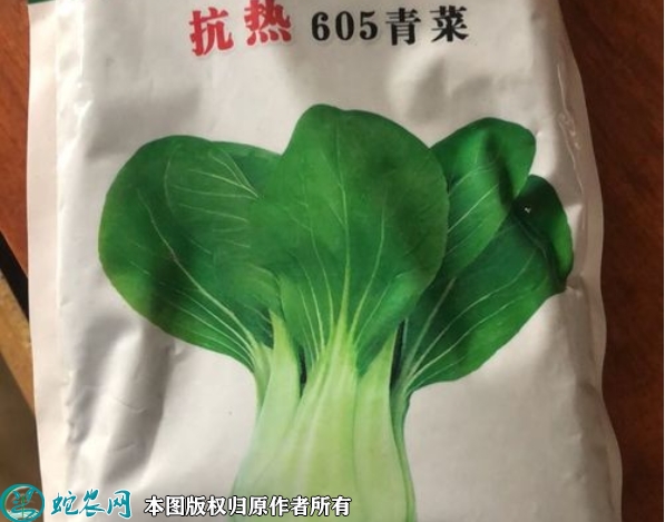 青梗菜种子价格多少钱一斤？2023年...