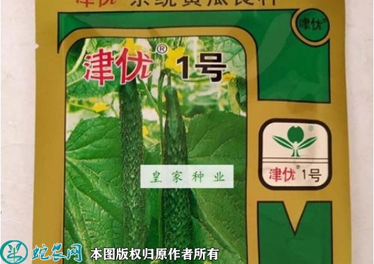 津优1号黄瓜种子价格多少钱一斤？20...