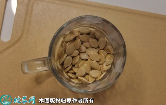 南瓜种子价格多少钱一斤？2023年3...