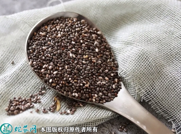鼠尾草种子价格多少钱一斤？2023年...