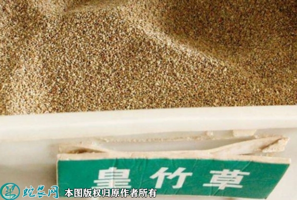皇竹草种子价格多少钱一斤？2023年...