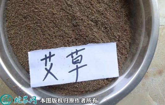 艾草种子价格多少钱一斤？2023年3...