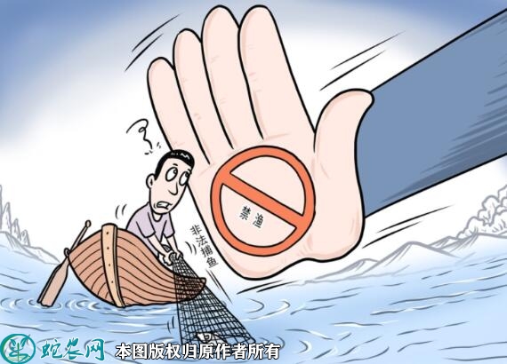 黄河全域4月1日12时进入禁渔期