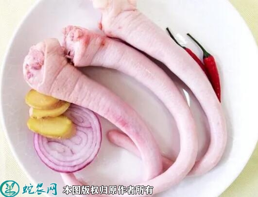 猪尾巴价格多少钱一斤？2023年6月...