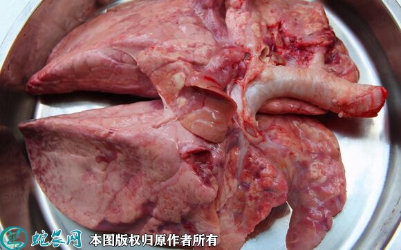 猪肺价格多少钱一斤？2023年6月今...