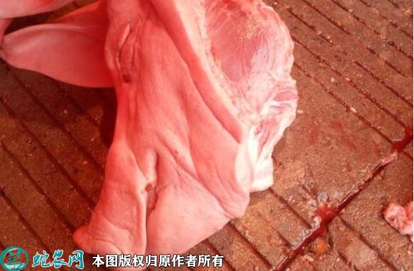 猪头价格多少钱一斤？2023年6月今...