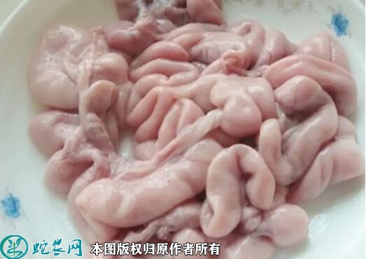 猪肠价格多少钱一斤？2023年6月今...