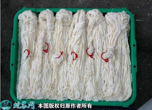 猪肠衣价格多少钱一斤？2023年6月...